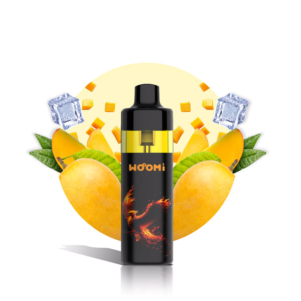 ECOM RE-FILL 12000 PUFFS | MANGO ICE
