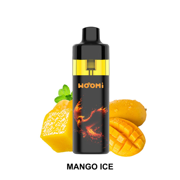ECOM RE-FILL 12000 PUFFS | MANGO ICE